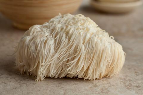 Biohacking with Magic Mushroom
