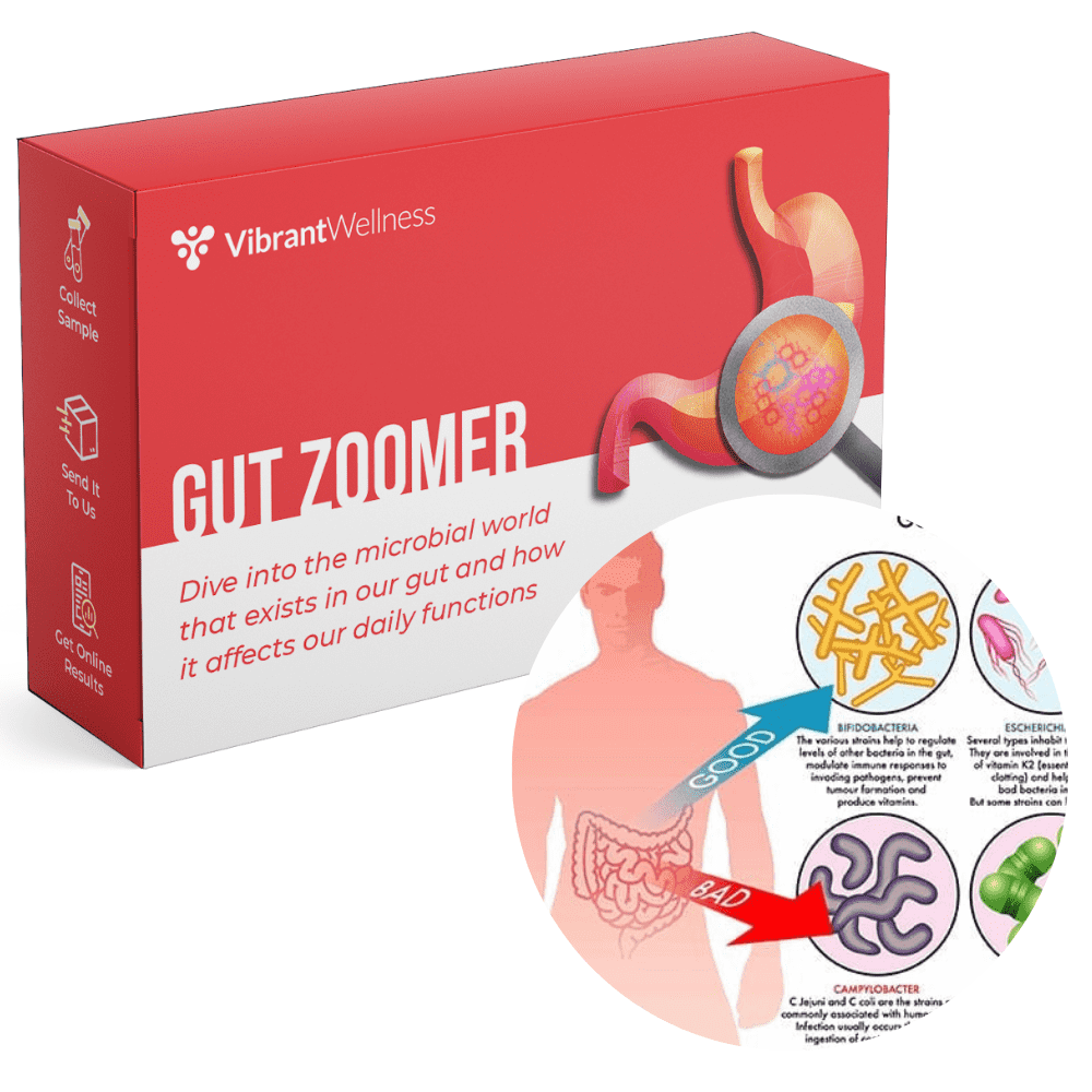 6 Beneficial Uses of the Vibrant Wellness Gut Zoomer At-Home Test