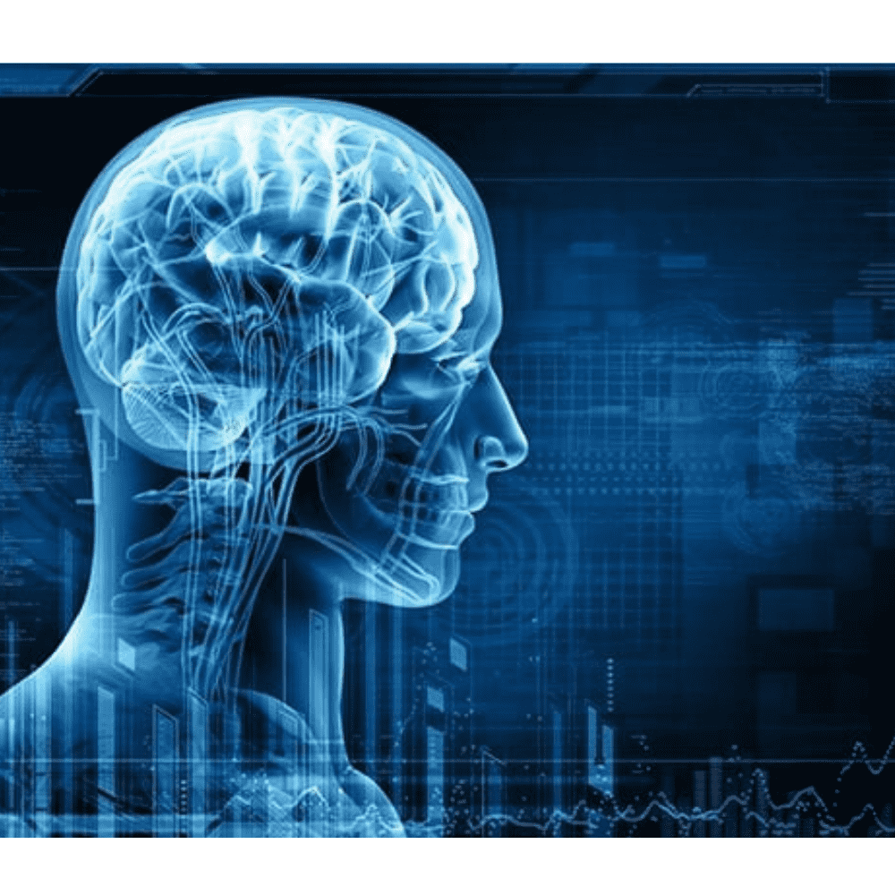 6 Impressive Benefits of the Vibrant Wellness Neurotransmitters Panel