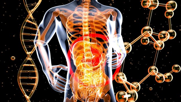 Boceprevir: Uses, Functions, and Discontinuation
