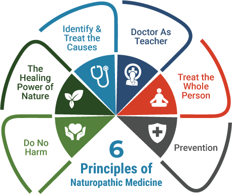 What is Naturopathic Medicine?