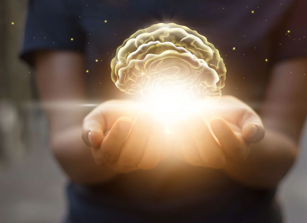 The Brain has the Ability to Change Itself!