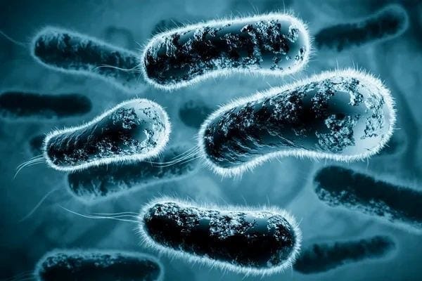 WHAT ARE MICROBIOME