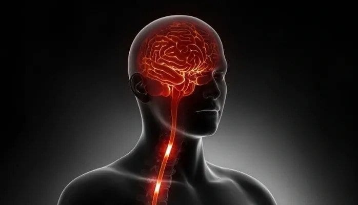The Link between Depression and Inflammation by Dr. Luminita Alex