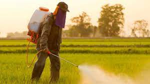 Glyphosate Test Kit: An Essential Guide