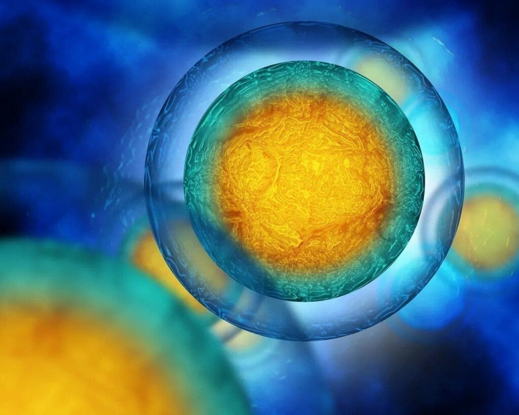 How To Boost The Stem Cell Production