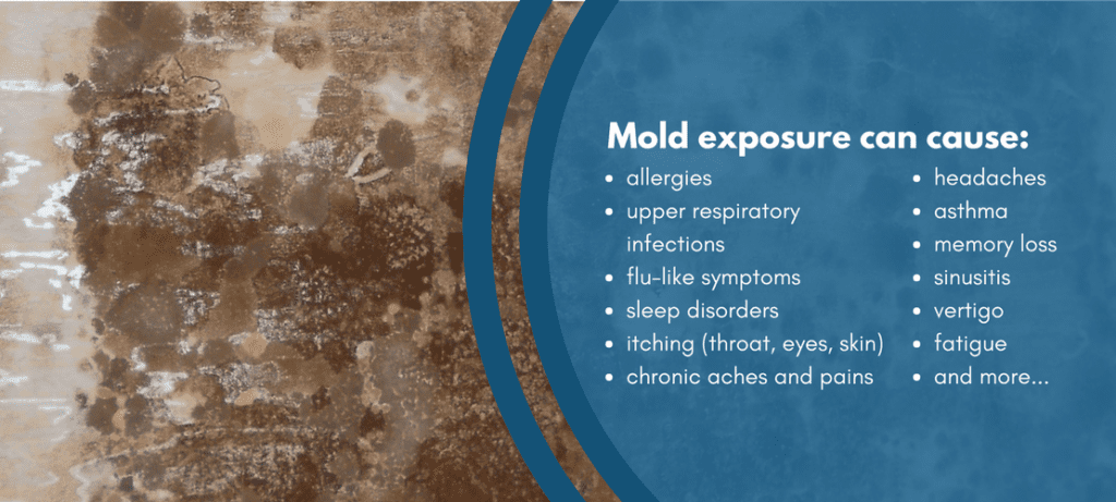 Unlocking Health: Exploring the Vibrant Wellness Mycotoxin Test