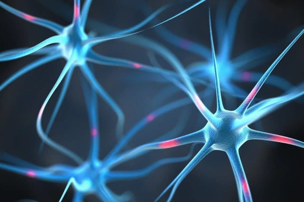 Does Fibromyalgia & Multiple Sclerosis Have the Same Causes?
