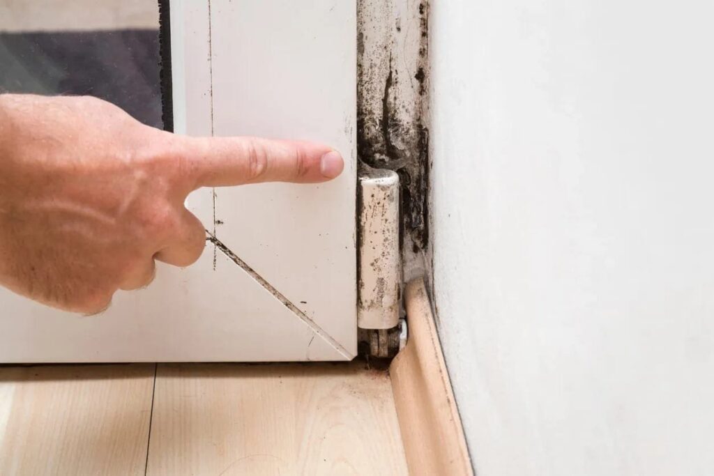 Mold Exposure and Toxicity!