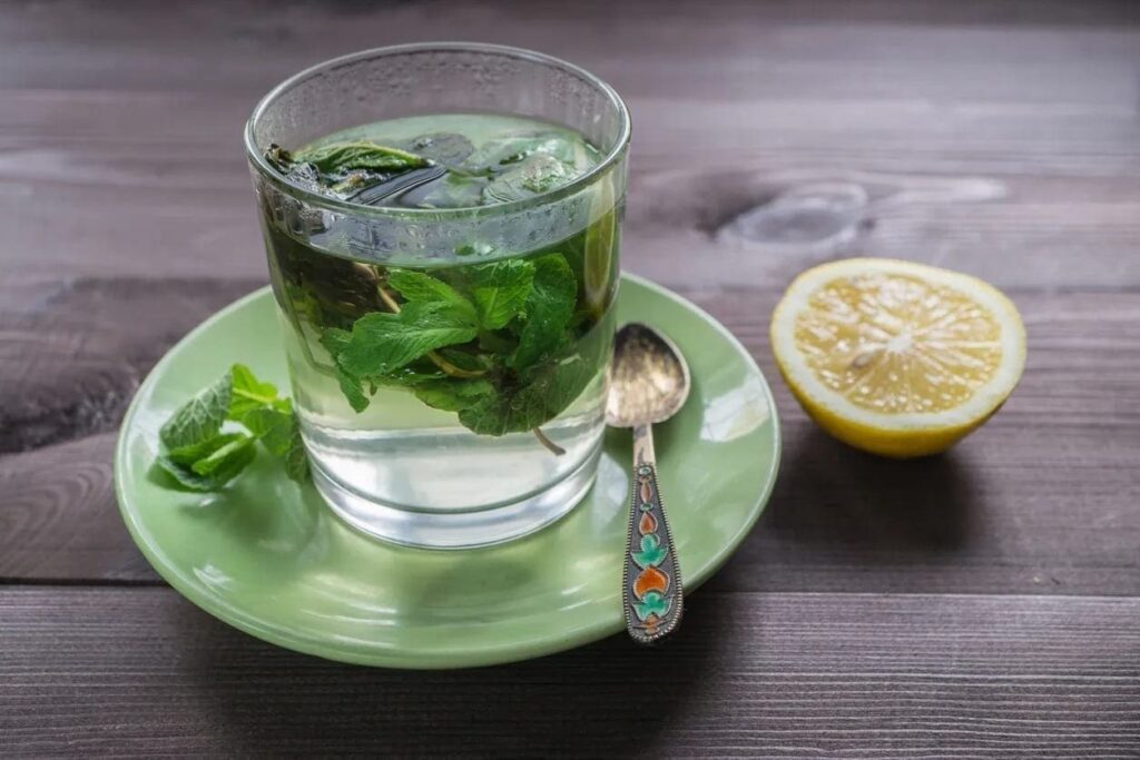 Green Tea, Gut Microbes, and Cancer