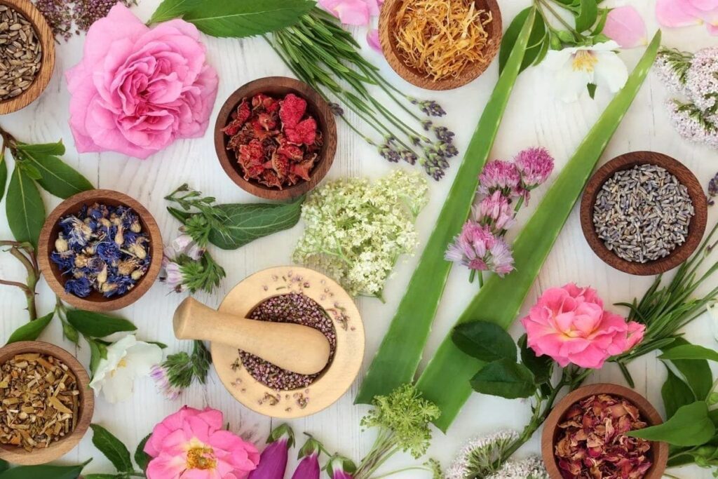 Biohacking Herbs The Top 10 Antiviral Herbs