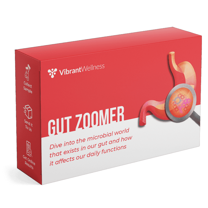 Gut Zoomer